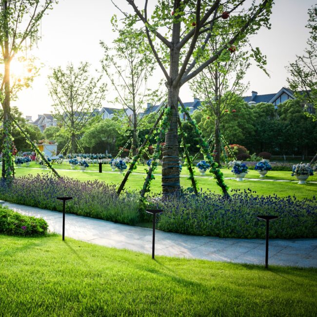 d7c0d14e976d30e5e7e8f8862c1545c3