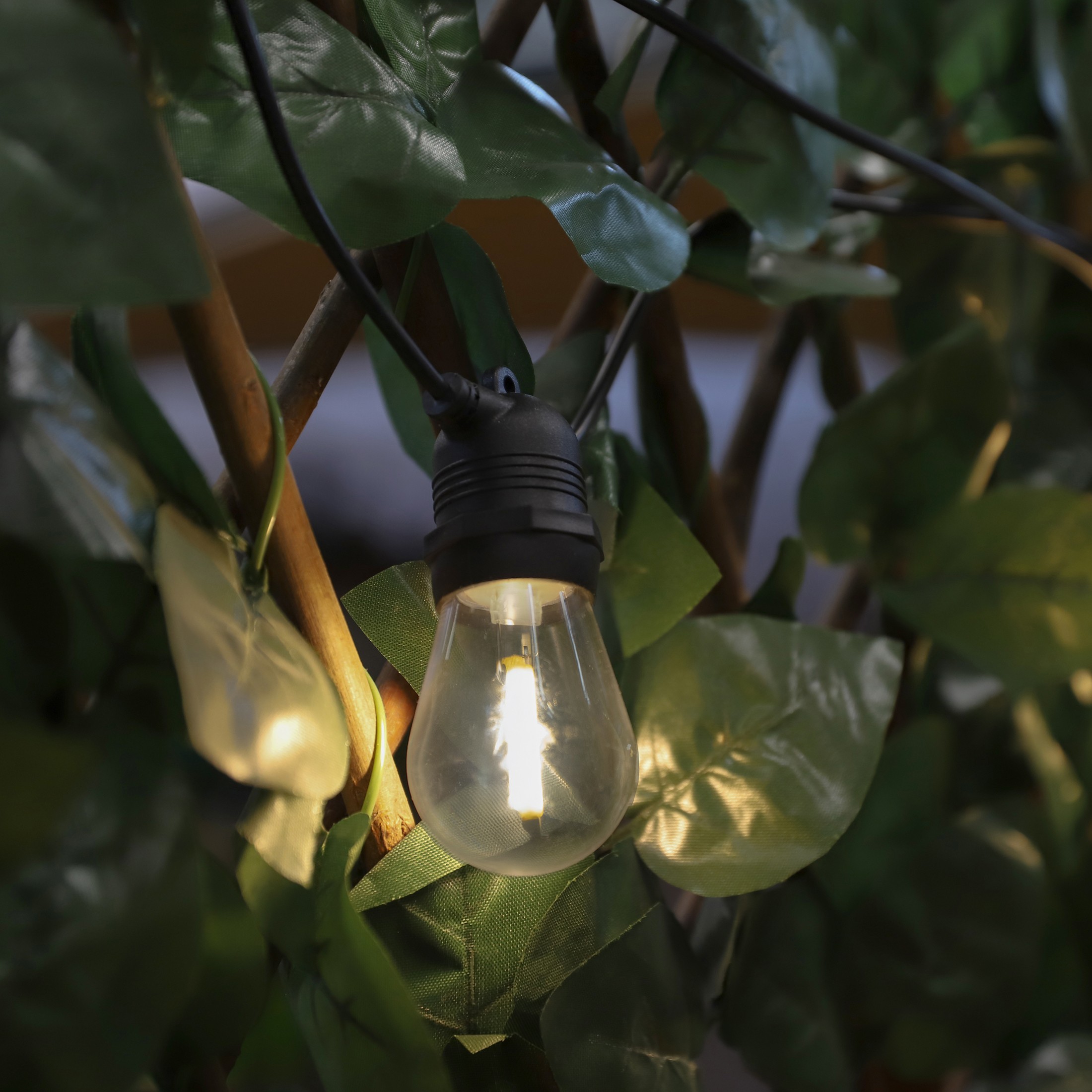 43cfb4052db9e1ae7cbc419c77c16952